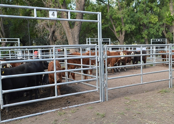 Puertas resistentes de la granja de Panels Metal Galvanized de la cerca del ganado de la altura del 1.6m